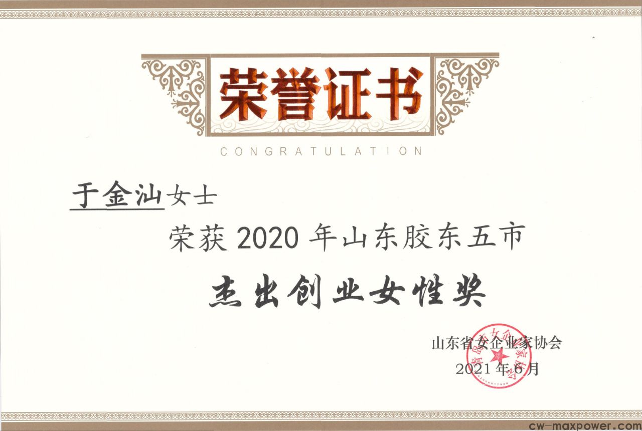 喜報！于金汕總經(jīng)理榮獲2020年山東膠東五市杰出創(chuàng)業(yè)女性獎(圖2)